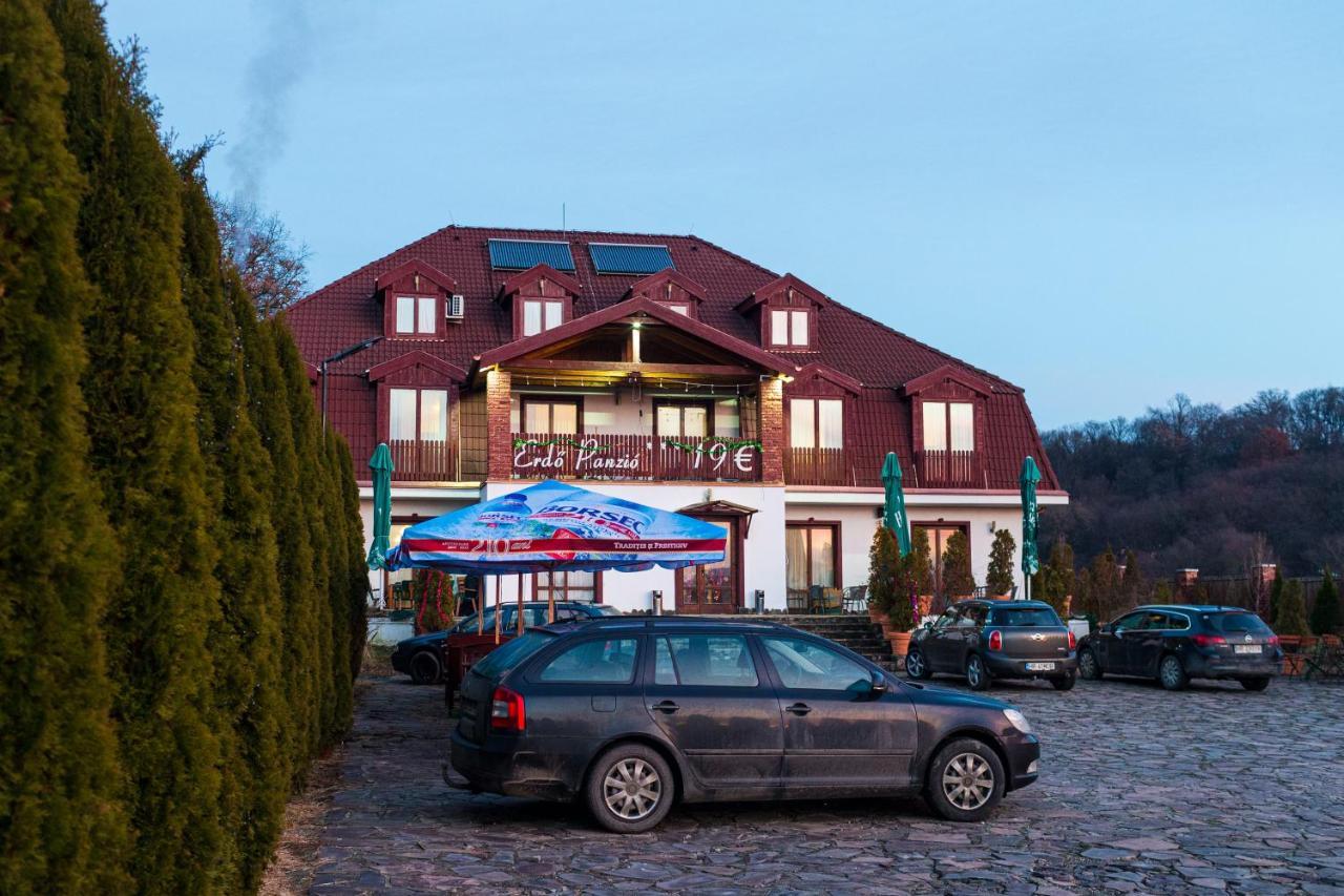 Pensiunea Si Restaurant Erdo オルドヘユ・セクイエスク エクステリア 写真