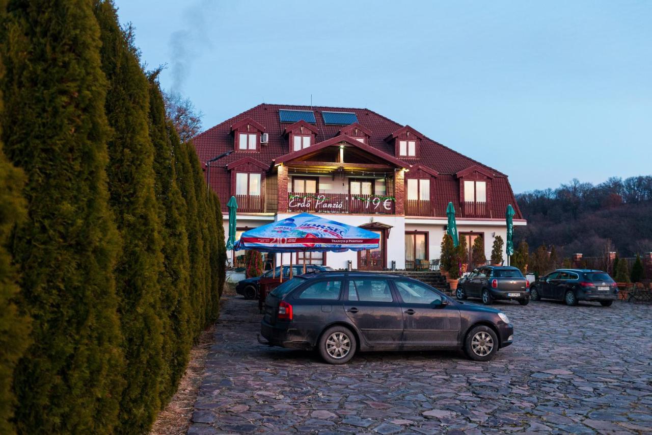 Pensiunea Si Restaurant Erdo オルドヘユ・セクイエスク エクステリア 写真